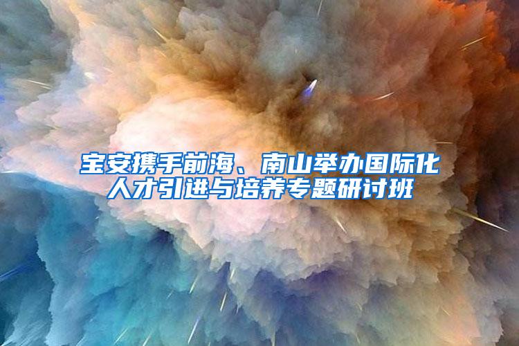 宝安携手前海、南山举办国际化人才引进与培养专题研讨班