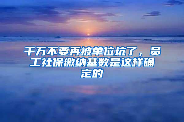 千万不要再被单位坑了，员工社保缴纳基数是这样确定的