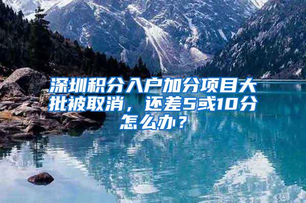 深圳积分入户加分项目大批被取消，还差5或10分怎么办？