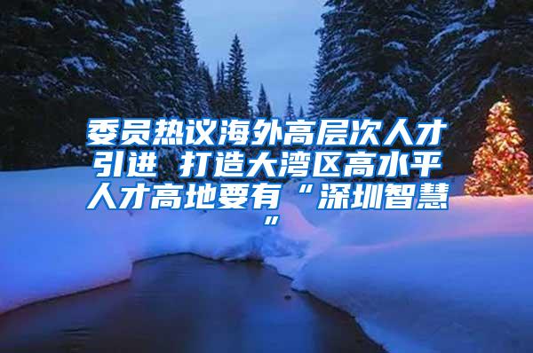 委员热议海外高层次人才引进 打造大湾区高水平人才高地要有“深圳智慧”