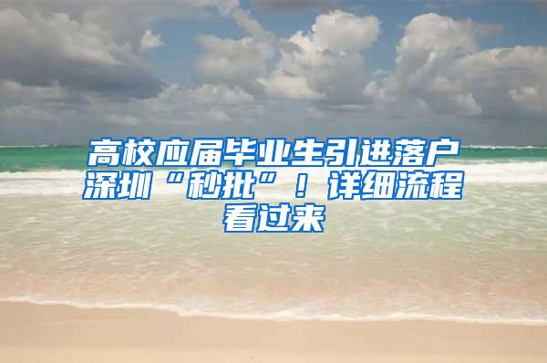 高校应届毕业生引进落户深圳“秒批”！详细流程看过来