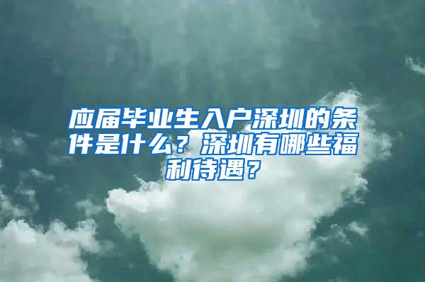 应届毕业生入户深圳的条件是什么？深圳有哪些福利待遇？