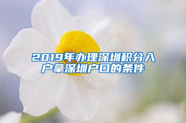 2019年办理深圳积分入户拿深圳户口的条件