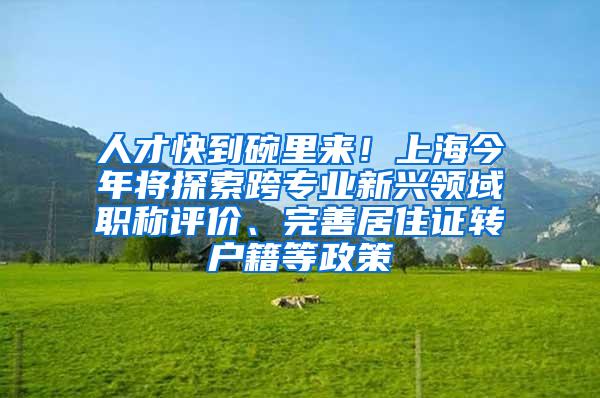 人才快到碗里来！上海今年将探索跨专业新兴领域职称评价、完善居住证转户籍等政策