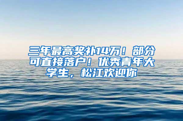 三年最高奖补14万！部分可直接落户！优秀青年大学生，松江欢迎你