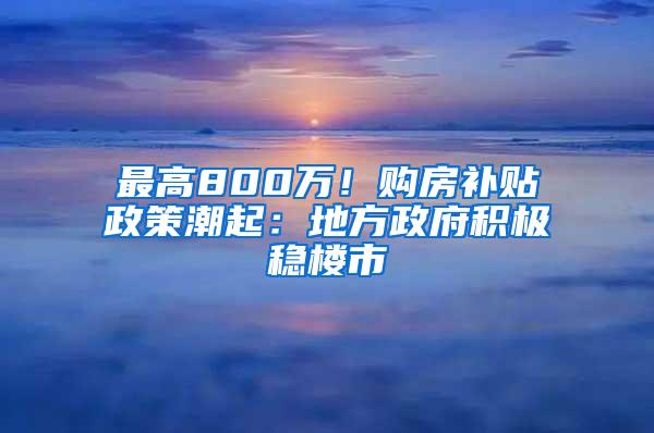 最高800万！购房补贴政策潮起：地方政府积极稳楼市