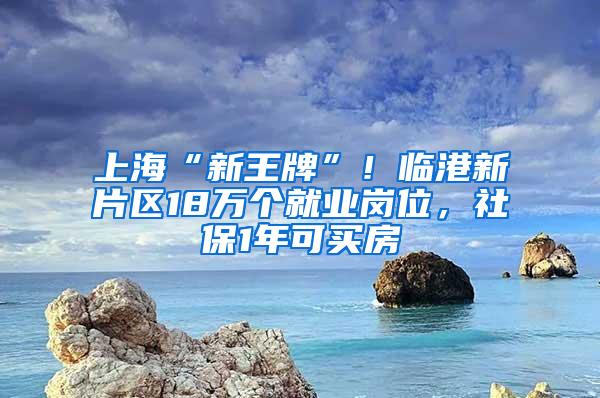 上海“新王牌”！临港新片区18万个就业岗位，社保1年可买房