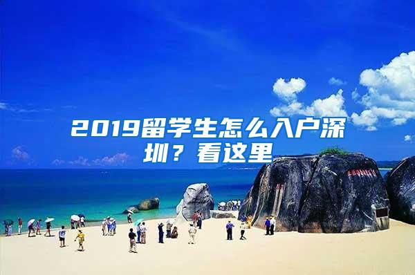 2019留学生怎么入户深圳？看这里