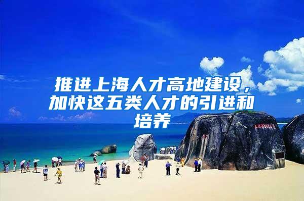 推进上海人才高地建设，加快这五类人才的引进和培养