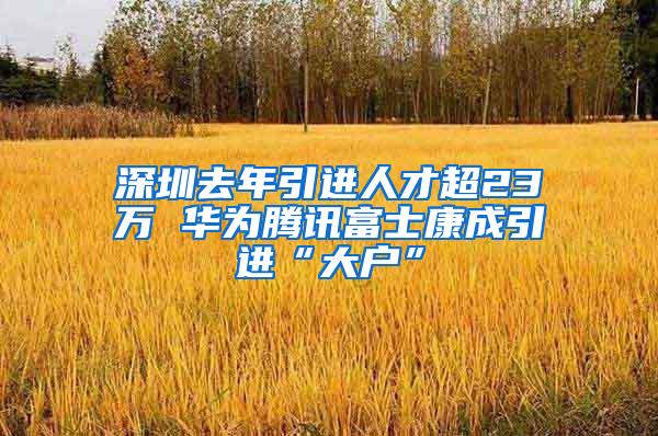 深圳去年引进人才超23万 华为腾讯富士康成引进“大户”