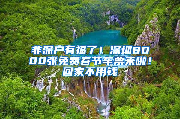 非深户有福了！深圳8000张免费春节车票来啦！回家不用钱