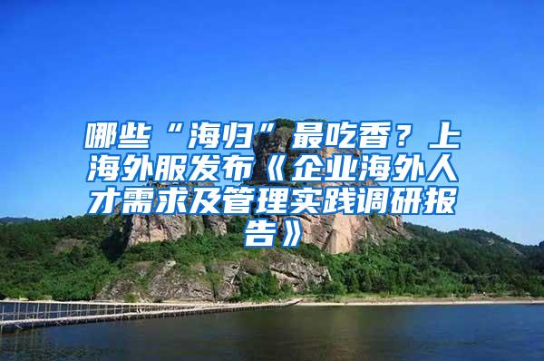 哪些“海归”最吃香？上海外服发布《企业海外人才需求及管理实践调研报告》