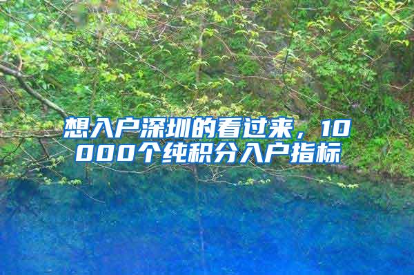 想入户深圳的看过来，10000个纯积分入户指标
