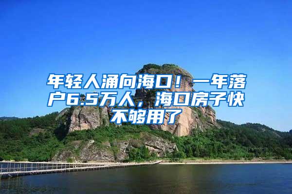 年轻人涌向海口！一年落户6.5万人，海口房子快不够用了