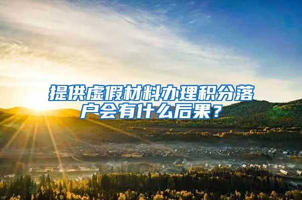 提供虚假材料办理积分落户会有什么后果？