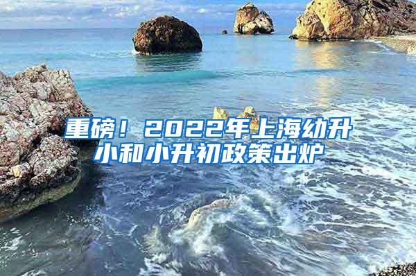 重磅！2022年上海幼升小和小升初政策出炉