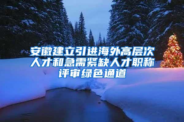 安徽建立引进海外高层次人才和急需紧缺人才职称评审绿色通道