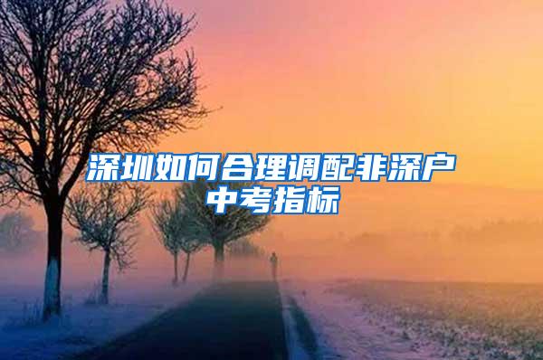 深圳如何合理调配非深户中考指标