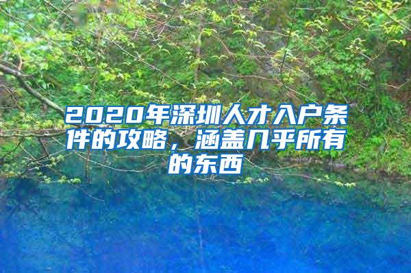 2020年深圳人才入户条件的攻略，涵盖几乎所有的东西