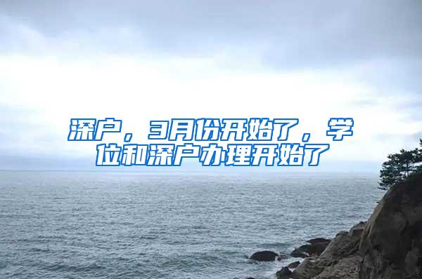 深户，3月份开始了，学位和深户办理开始了