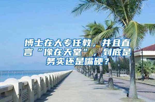 博士在大专任教，并且直言“像在天堂”，到底是务实还是嘴硬？