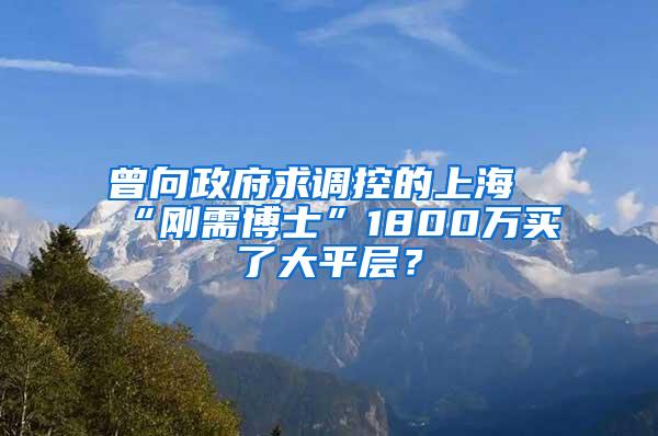 曾向政府求调控的上海“刚需博士”1800万买了大平层？