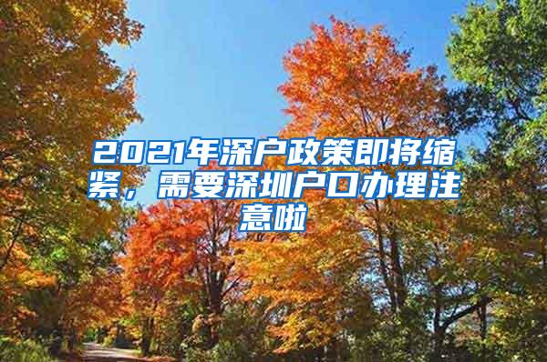 2021年深户政策即将缩紧，需要深圳户口办理注意啦