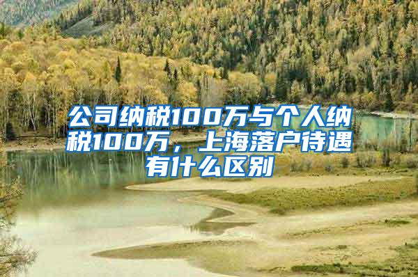 公司纳税100万与个人纳税100万，上海落户待遇有什么区别