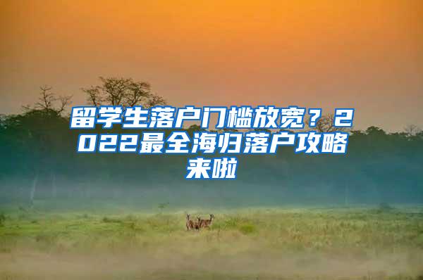 留学生落户门槛放宽？2022最全海归落户攻略来啦