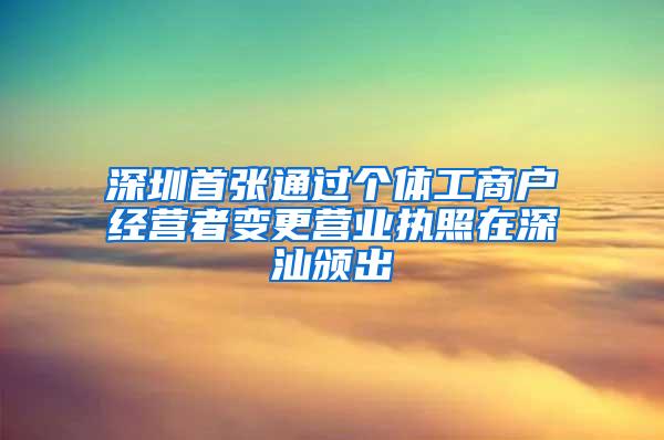 深圳首张通过个体工商户经营者变更营业执照在深汕颁出