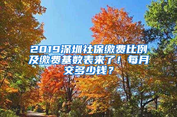 2019深圳社保缴费比例及缴费基数表来了！每月交多少钱？