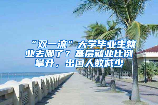 “双一流”大学毕业生就业去哪了？基层就业比例攀升，出国人数减少