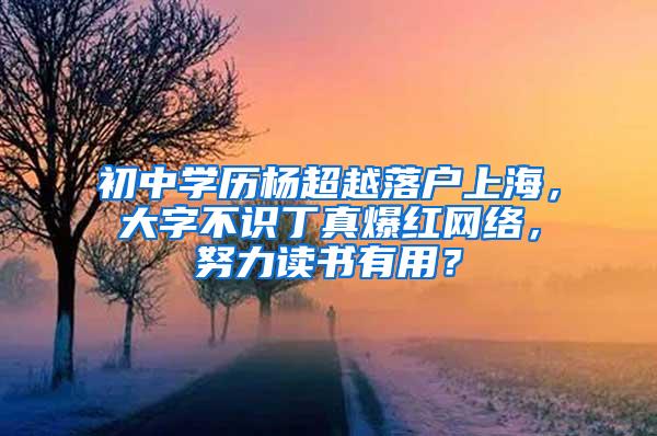 初中学历杨超越落户上海，大字不识丁真爆红网络，努力读书有用？