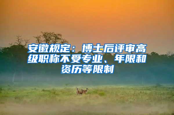 安徽规定：博士后评审高级职称不受专业、年限和资历等限制