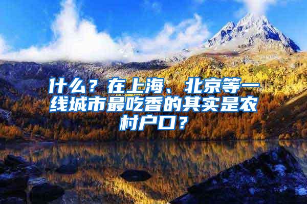 什么？在上海、北京等一线城市最吃香的其实是农村户口？