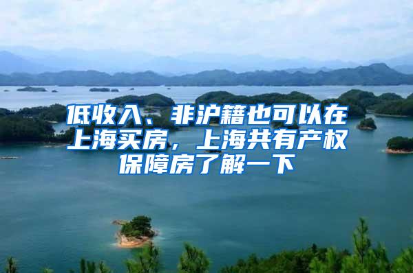 低收入、非沪籍也可以在上海买房，上海共有产权保障房了解一下