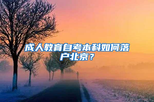 成人教育自考本科如何落户北京？