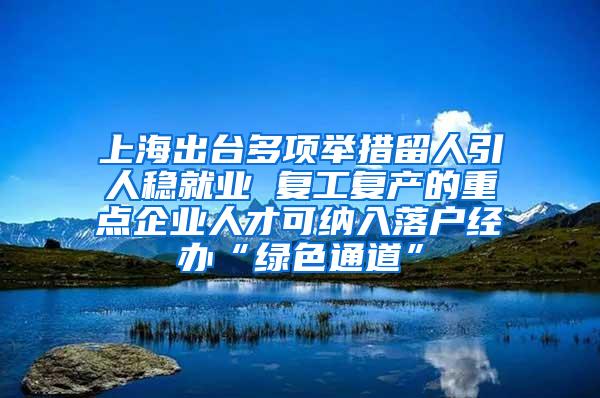 上海出台多项举措留人引人稳就业 复工复产的重点企业人才可纳入落户经办“绿色通道”