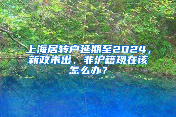 上海居转户延期至2024，新政未出，非沪籍现在该怎么办？