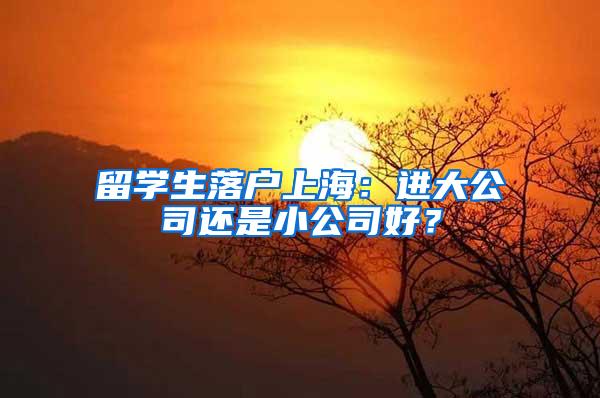 留学生落户上海：进大公司还是小公司好？