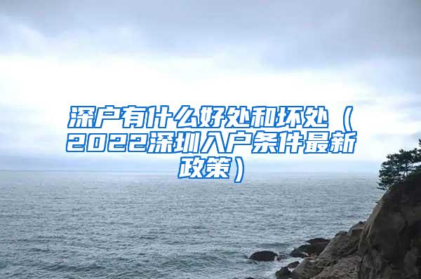 深户有什么好处和坏处（2022深圳入户条件最新政策）