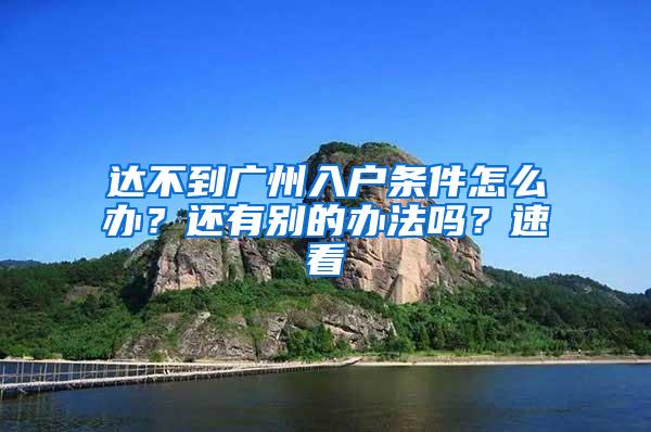 达不到广州入户条件怎么办？还有别的办法吗？速看