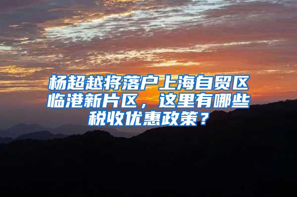 杨超越将落户上海自贸区临港新片区，这里有哪些税收优惠政策？