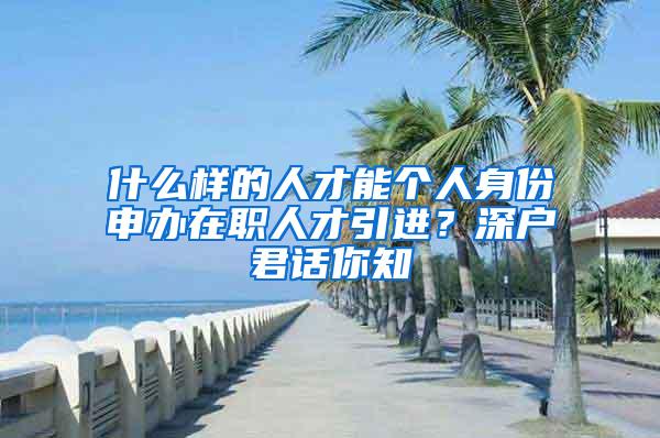 什么样的人才能个人身份申办在职人才引进？深户君话你知