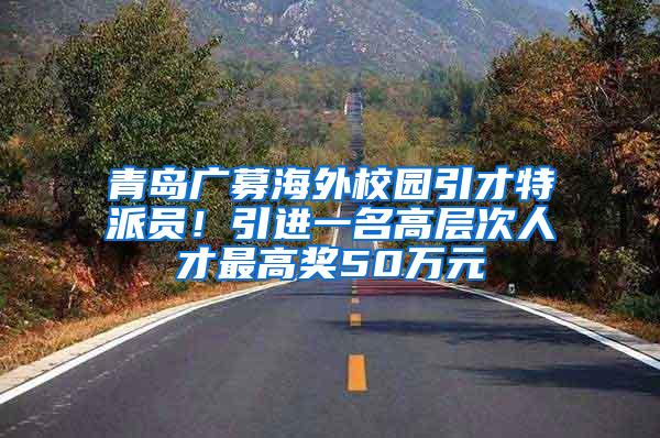 青岛广募海外校园引才特派员！引进一名高层次人才最高奖50万元