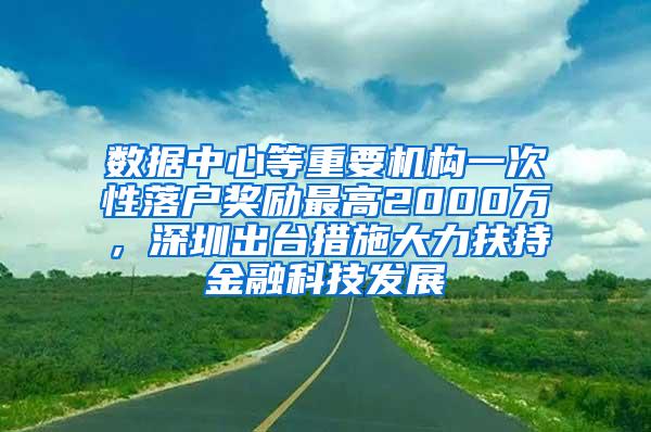 数据中心等重要机构一次性落户奖励最高2000万，深圳出台措施大力扶持金融科技发展