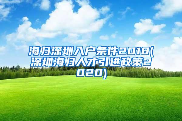 海归深圳入户条件2018(深圳海归人才引进政策2020)