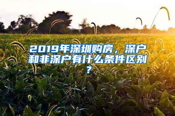 2019年深圳购房，深户和非深户有什么条件区别？