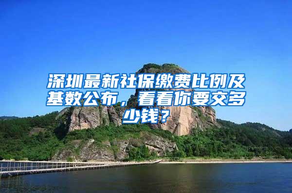 深圳最新社保缴费比例及基数公布，看看你要交多少钱？