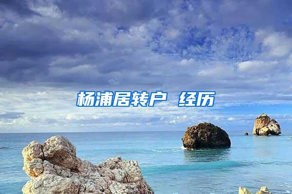 杨浦居转户 经历